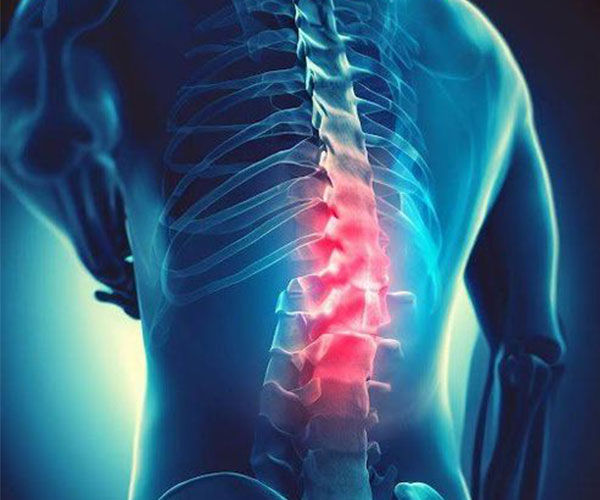 5 Thói Quen Xấu Đang Âm Thầm Hủy Hoại Cột Sống Của Dân Văn Phòng