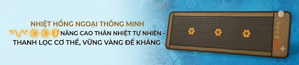 Thảm nhiệt sofa BIO